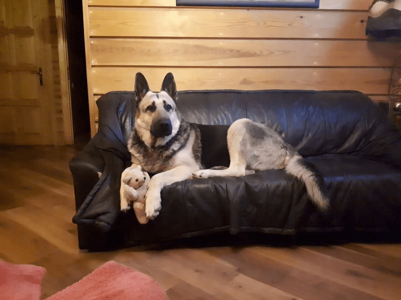 carousel-image-mobile-6