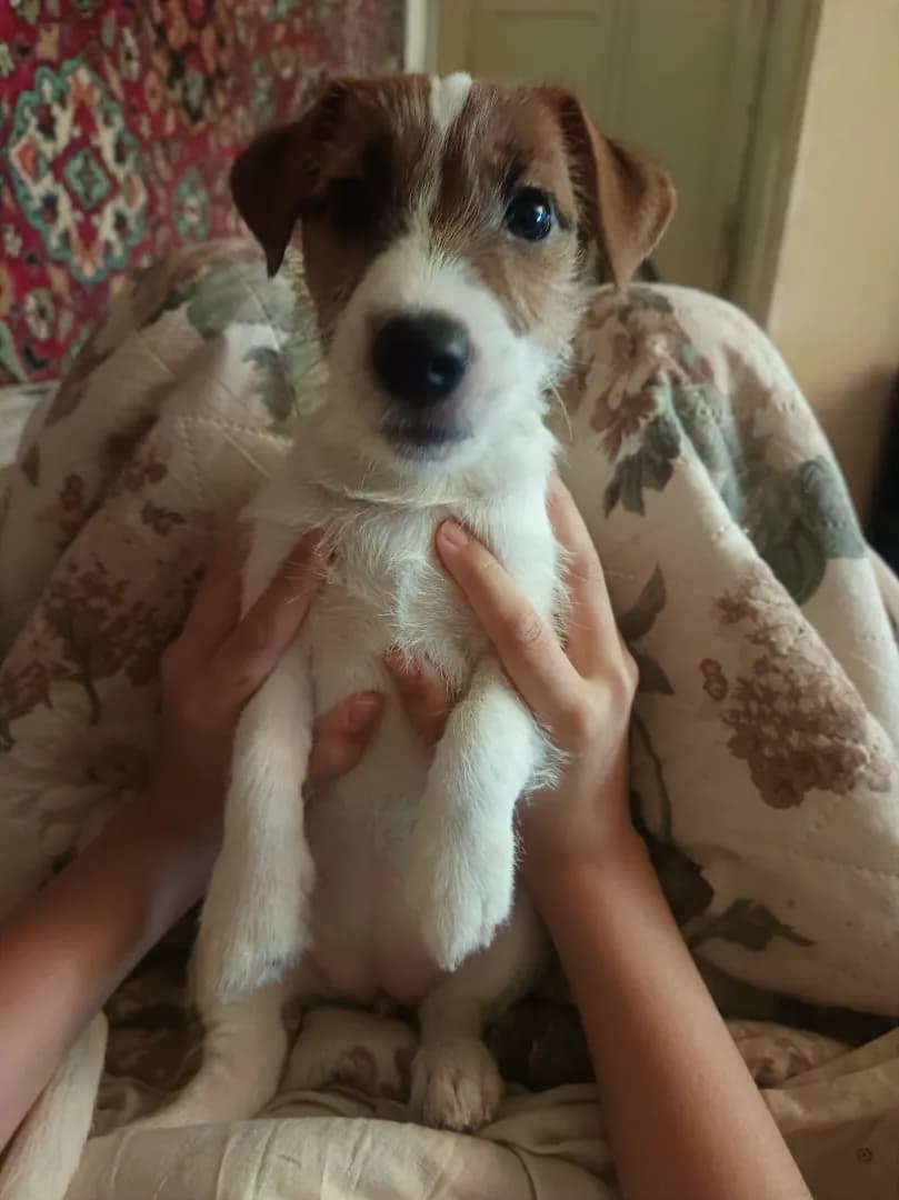 carousel-image-mobile-1