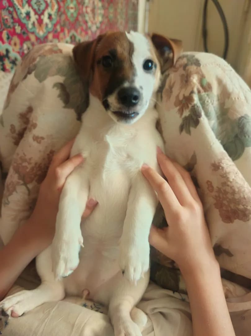 carousel-image-mobile-2