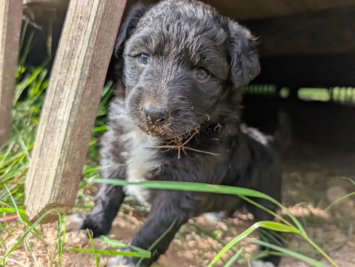 carousel-image-mobile-1