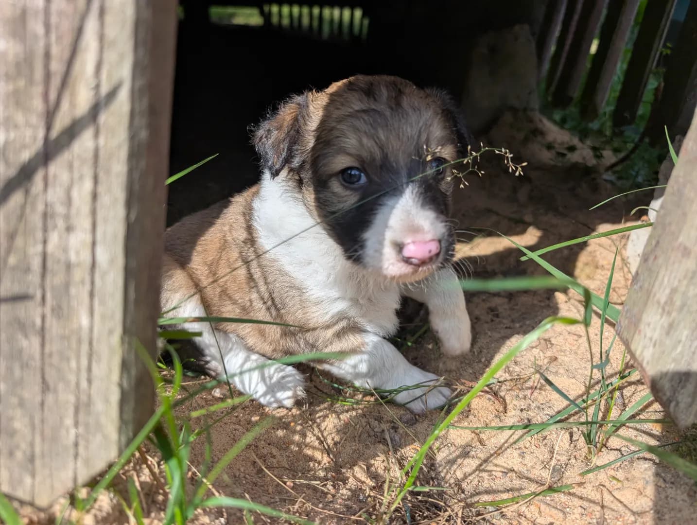 carousel-image-mobile-2