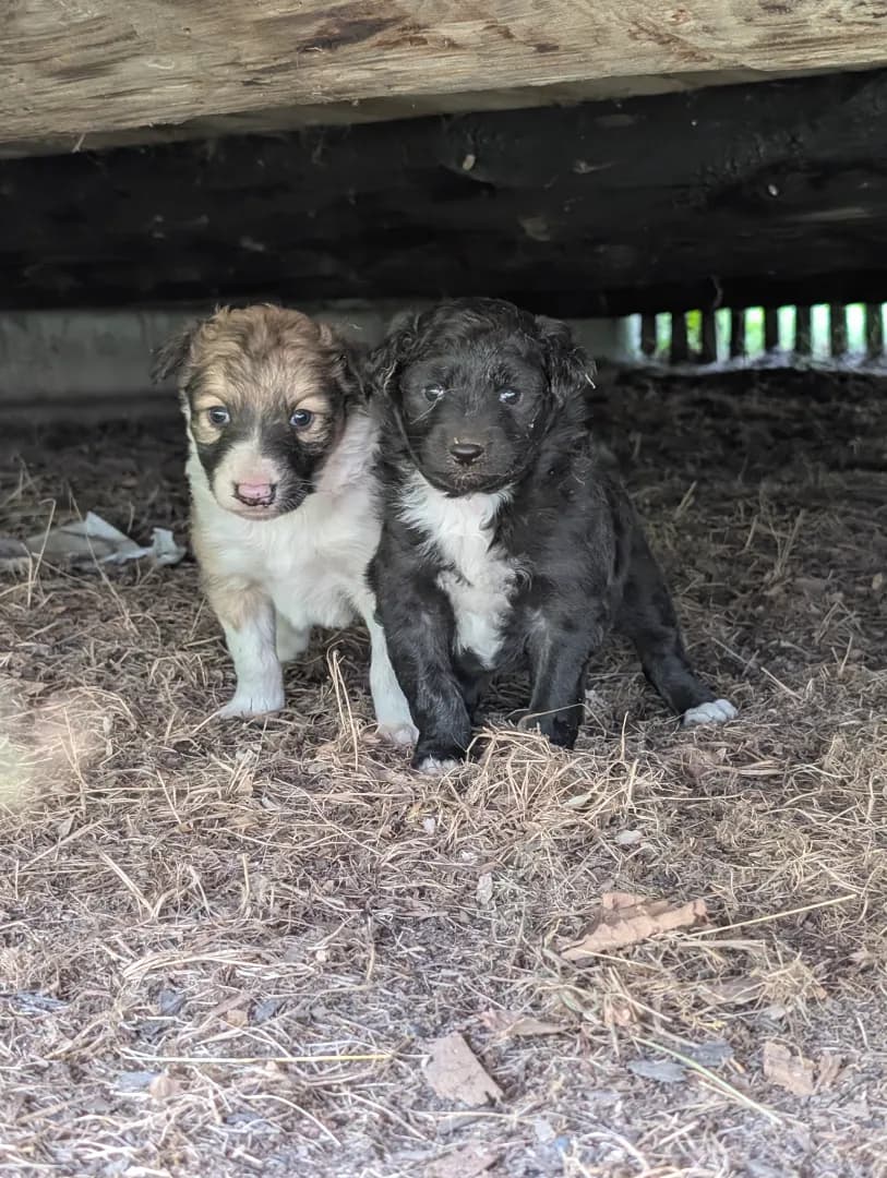 carousel-image-mobile-5