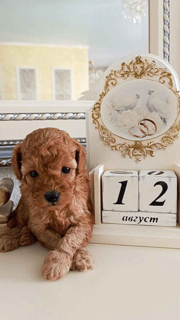 carousel-image-mobile-4