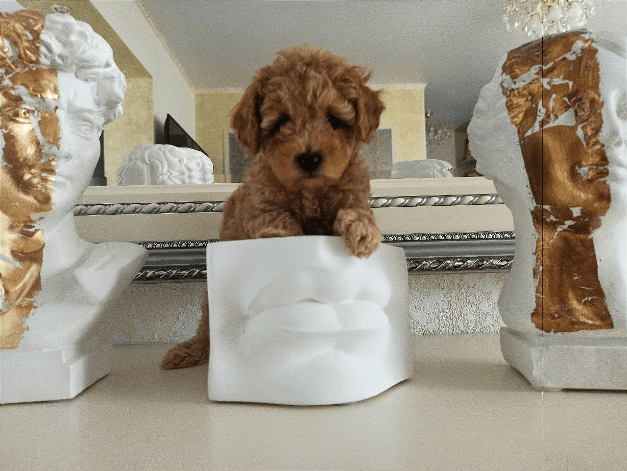 carousel-image-mobile-5