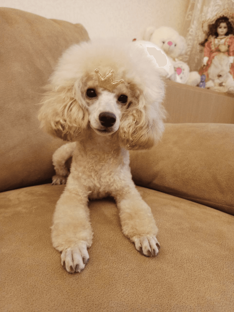 carousel-image-mobile-7