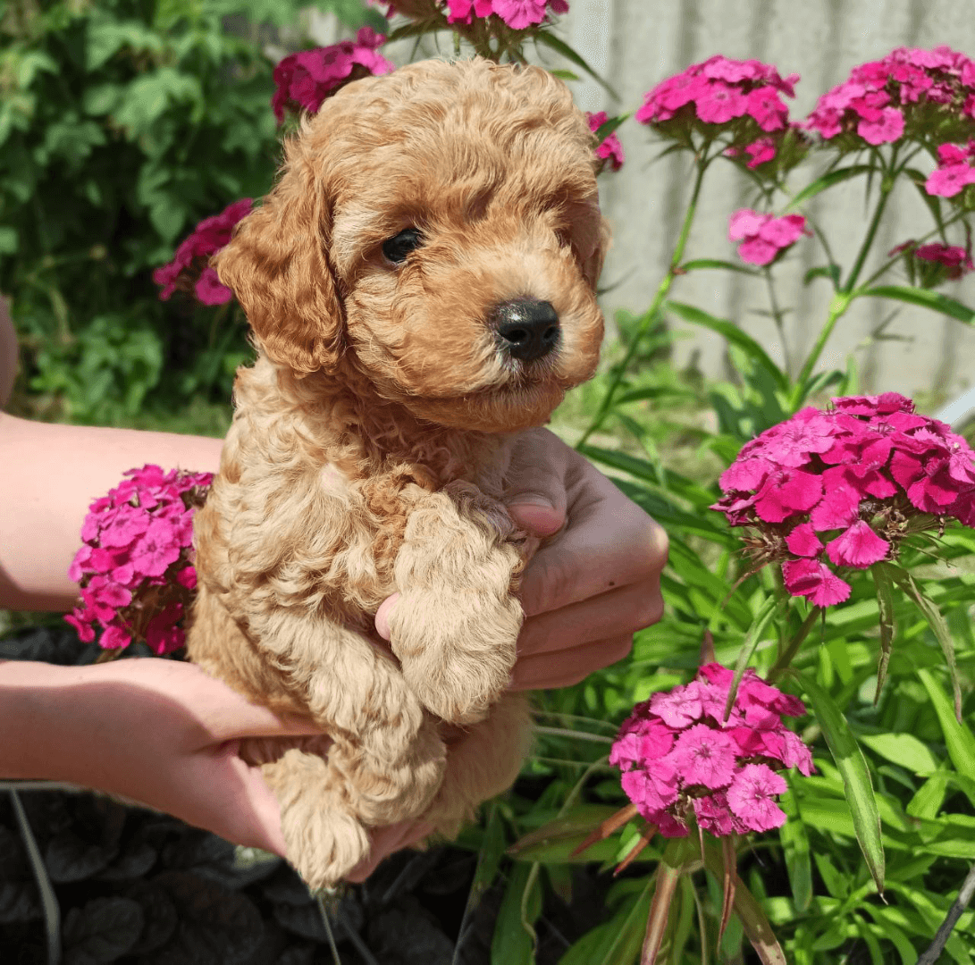 carousel-image-mobile-8