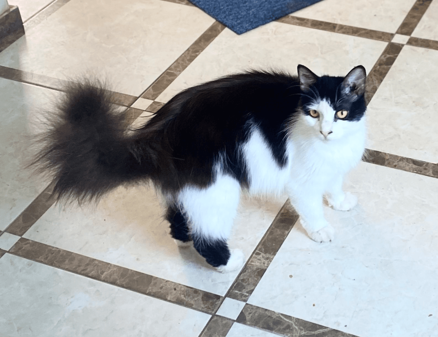 carousel-image-mobile-1