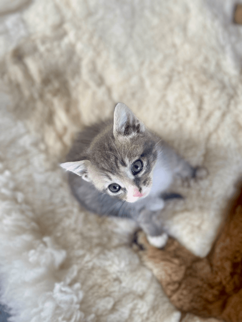 carousel-image-mobile-3