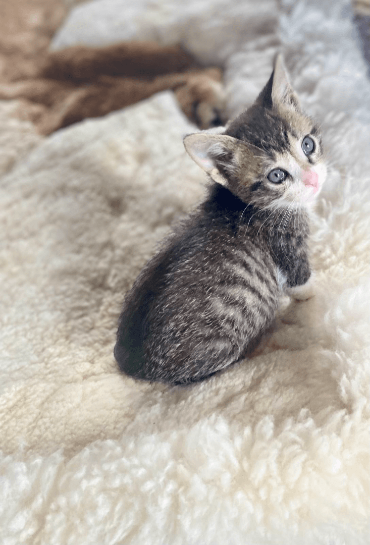 carousel-image-mobile-5