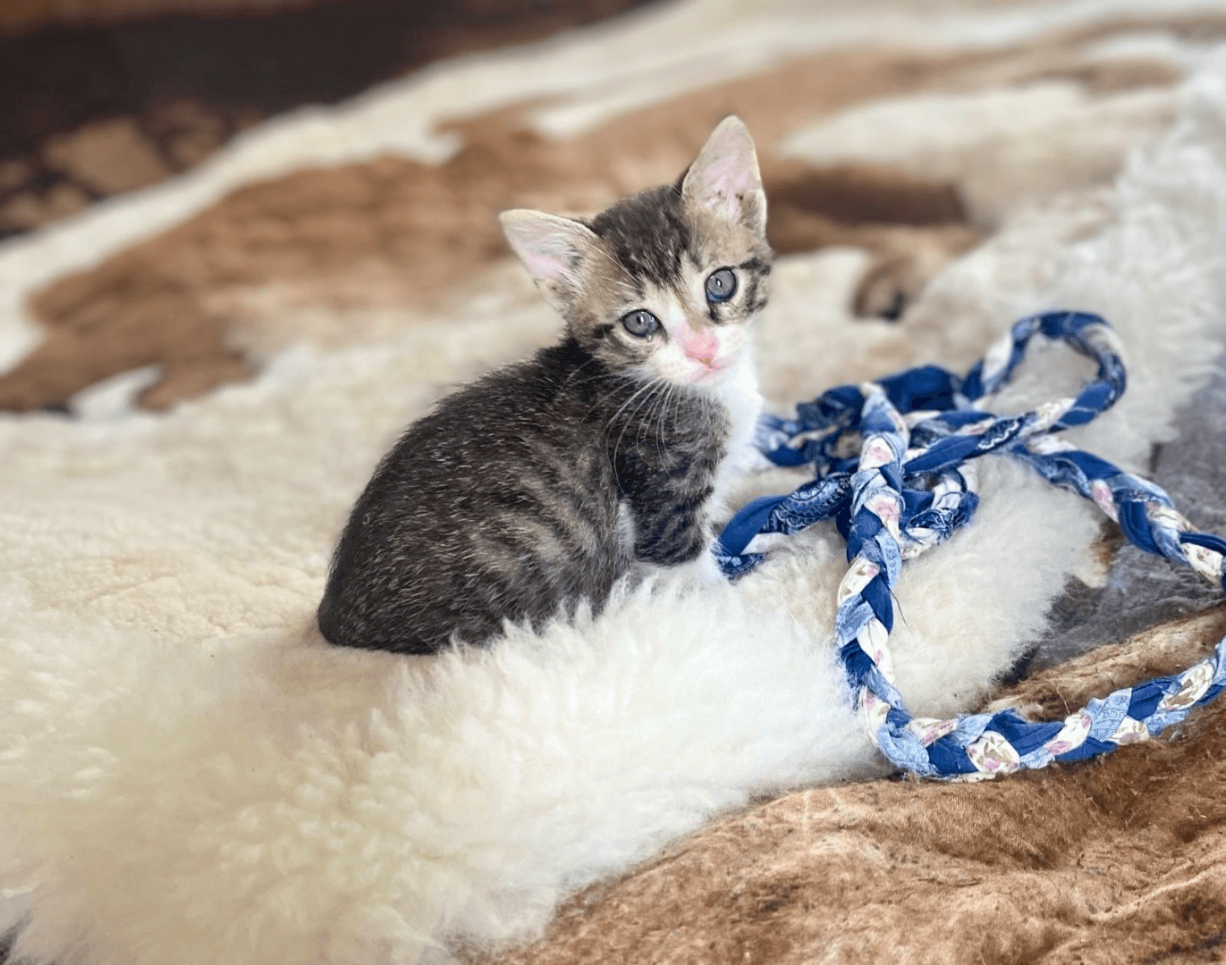 carousel-image-mobile-6