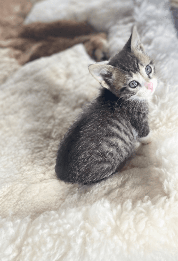 carousel-image-mobile-7