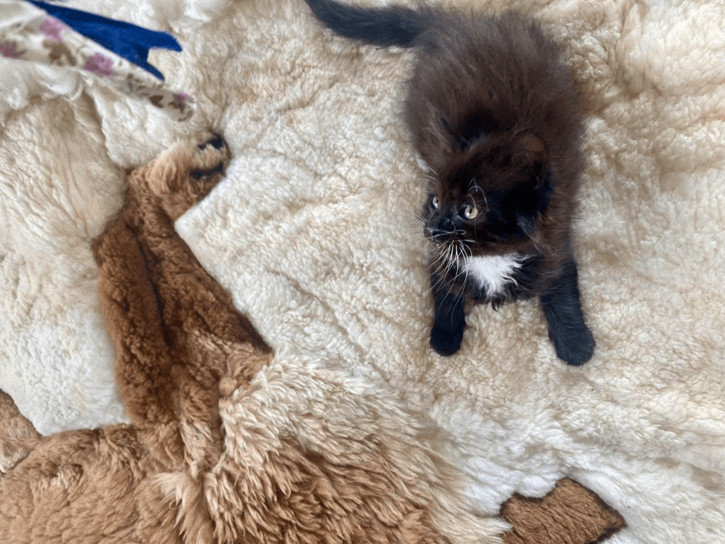 carousel-image-mobile-8