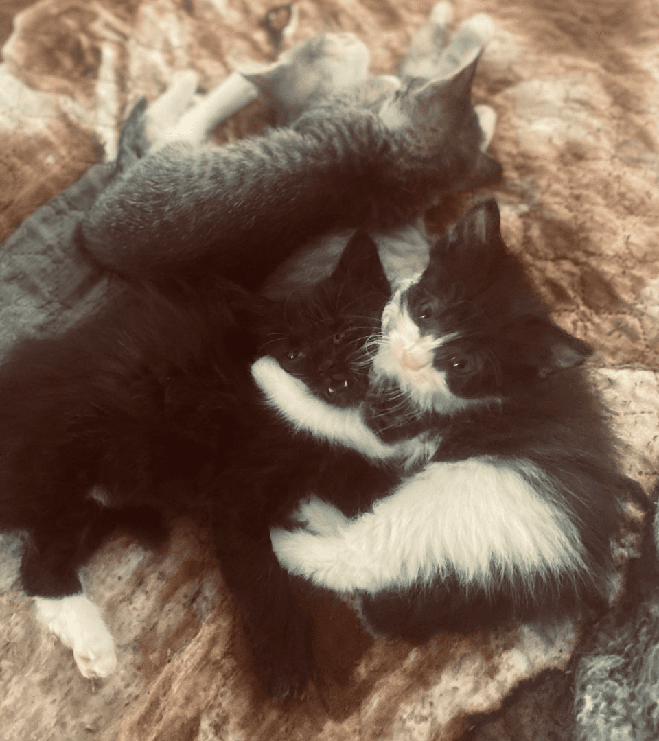 carousel-image-mobile-9