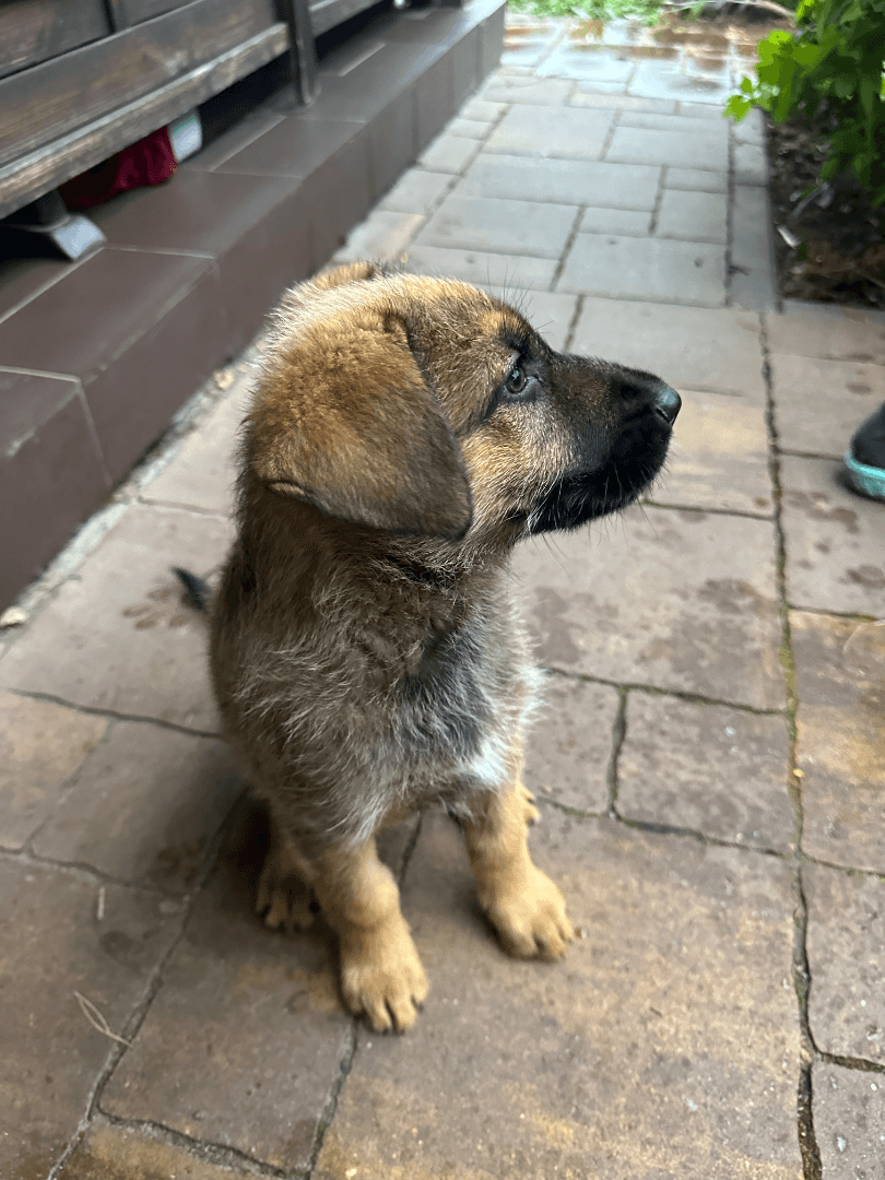 carousel-image-mobile-1