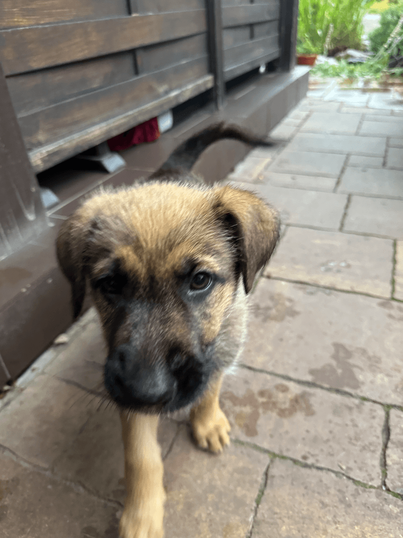 carousel-image-mobile-2