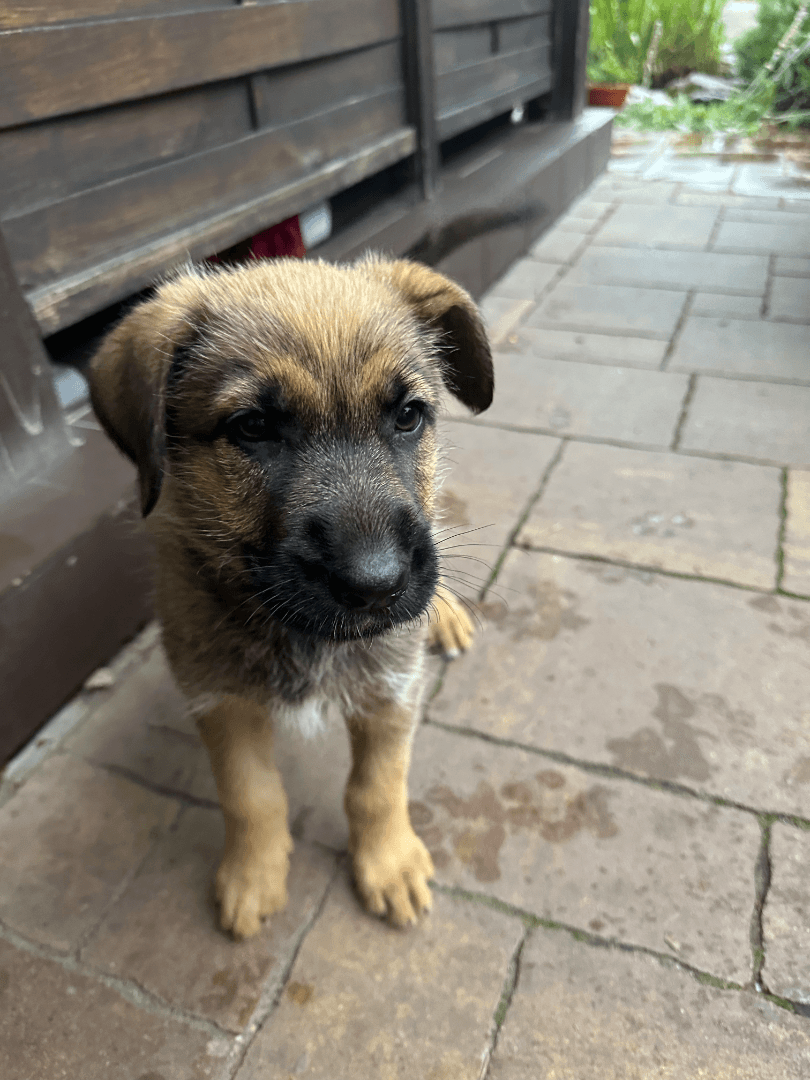 carousel-image-mobile-3