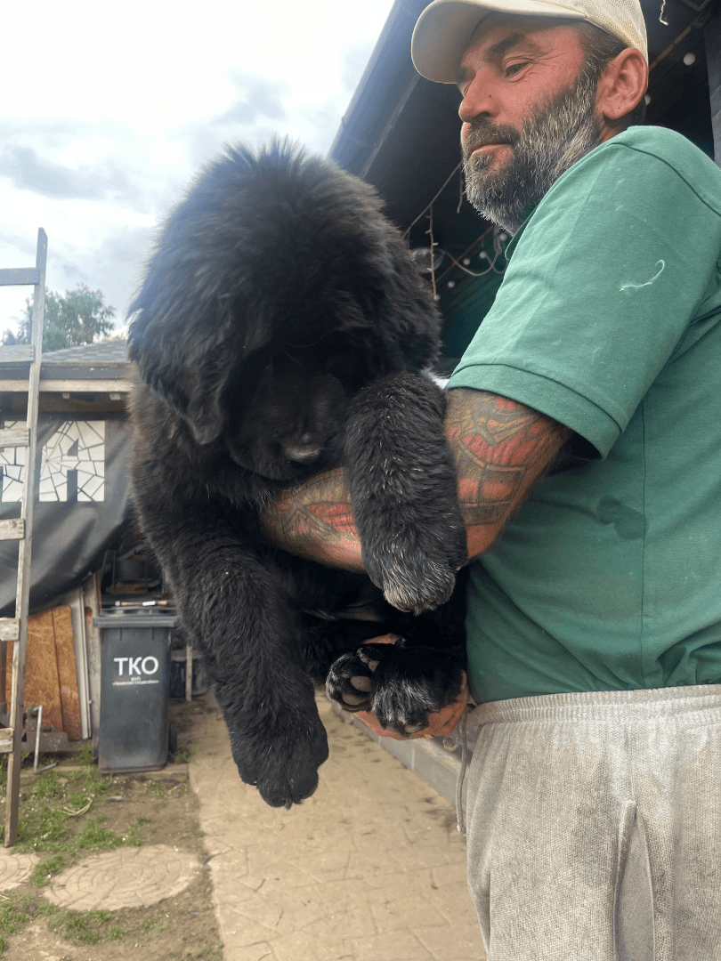 carousel-image-mobile-1