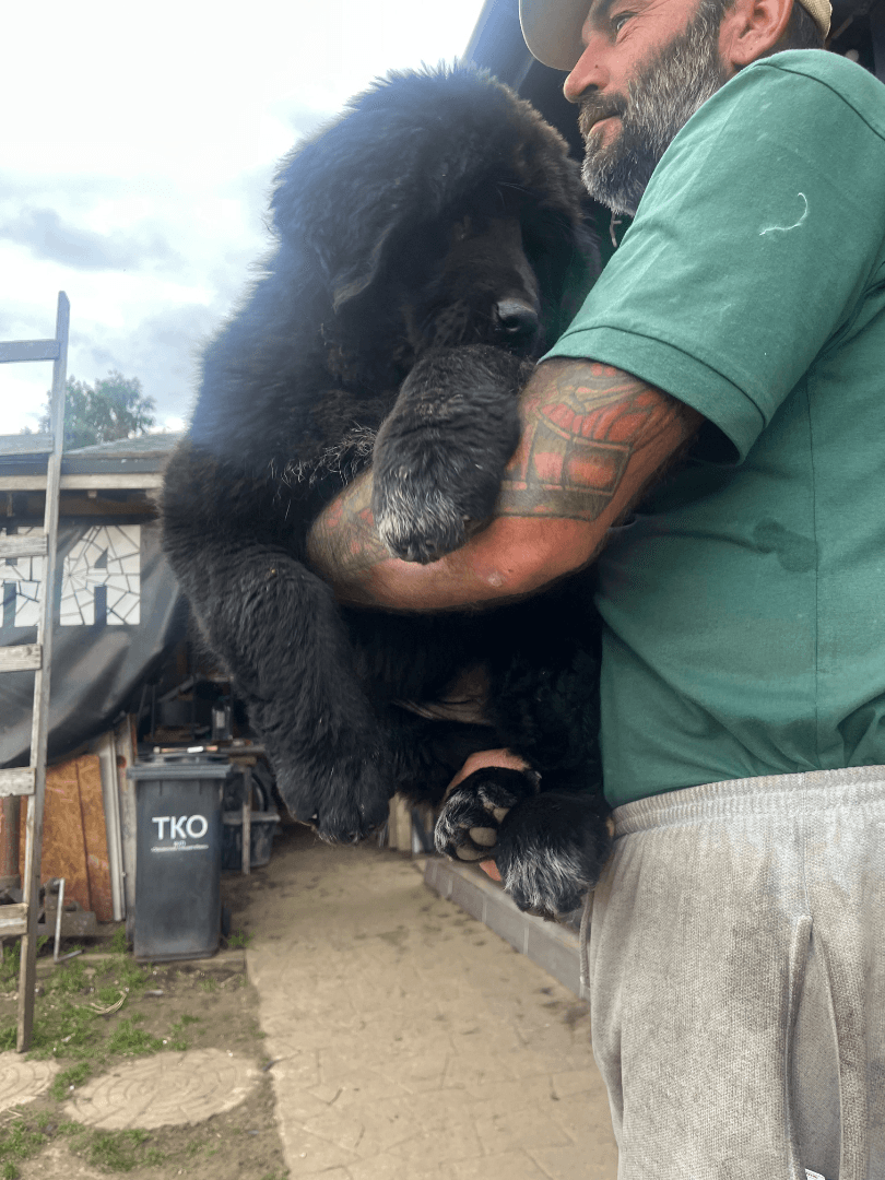 carousel-image-mobile-2