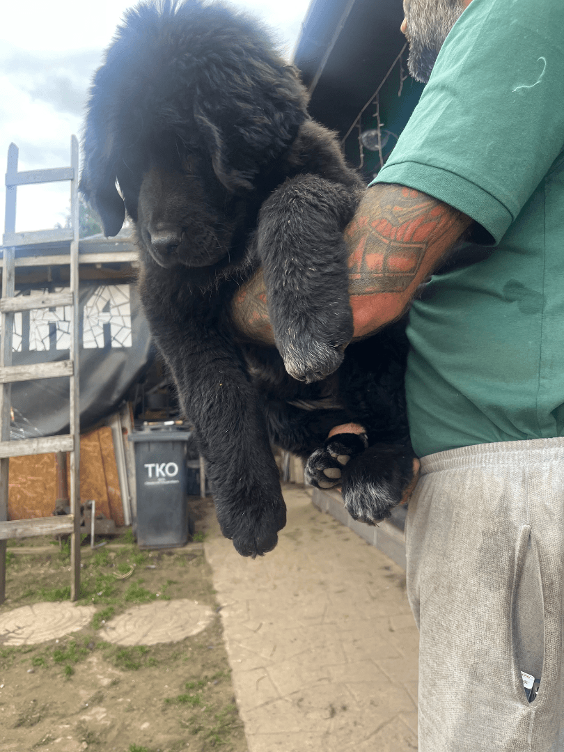 carousel-image-mobile-3