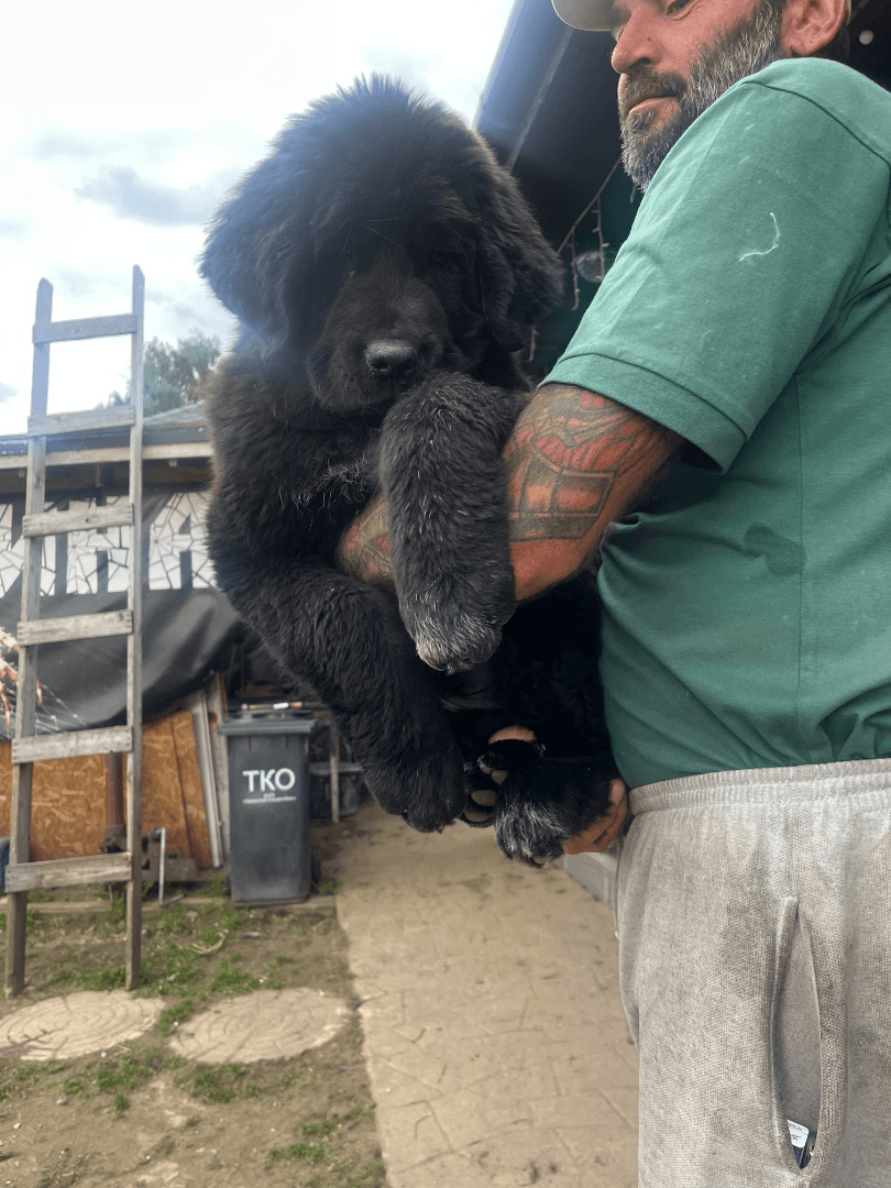 carousel-image-mobile-4