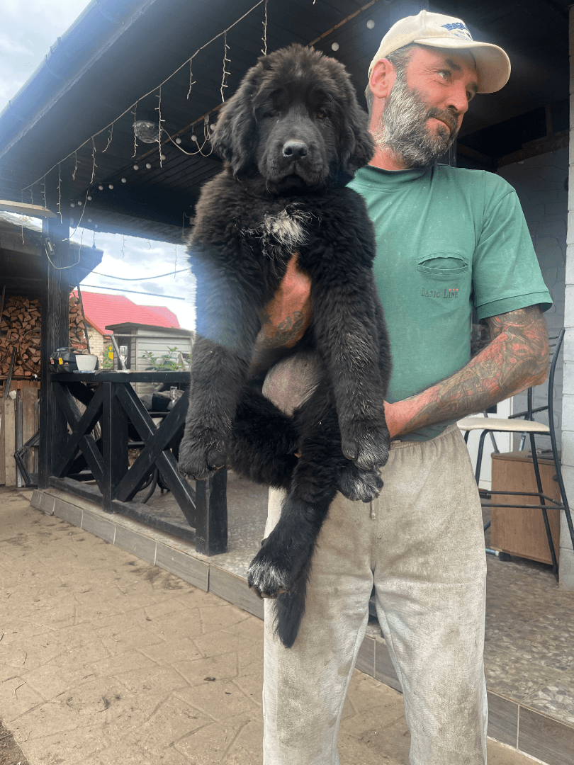 carousel-image-mobile-5