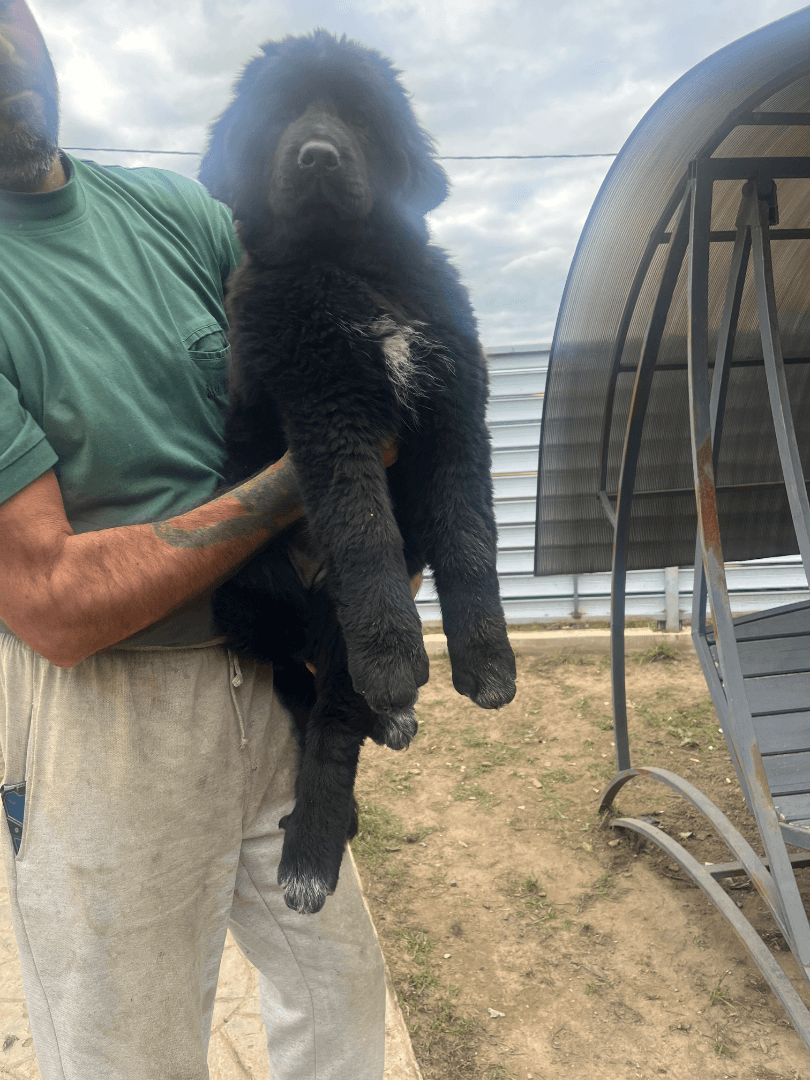 carousel-image-mobile-6