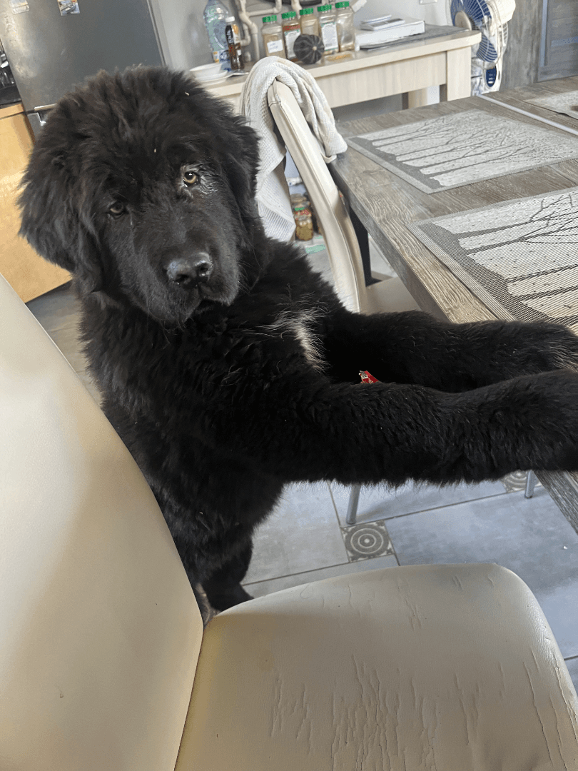 carousel-image-mobile-7