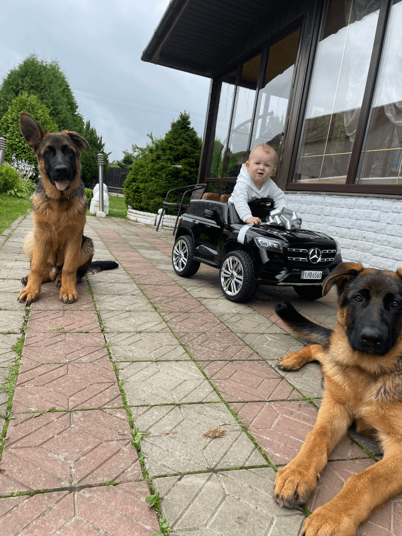 carousel-image-mobile-1