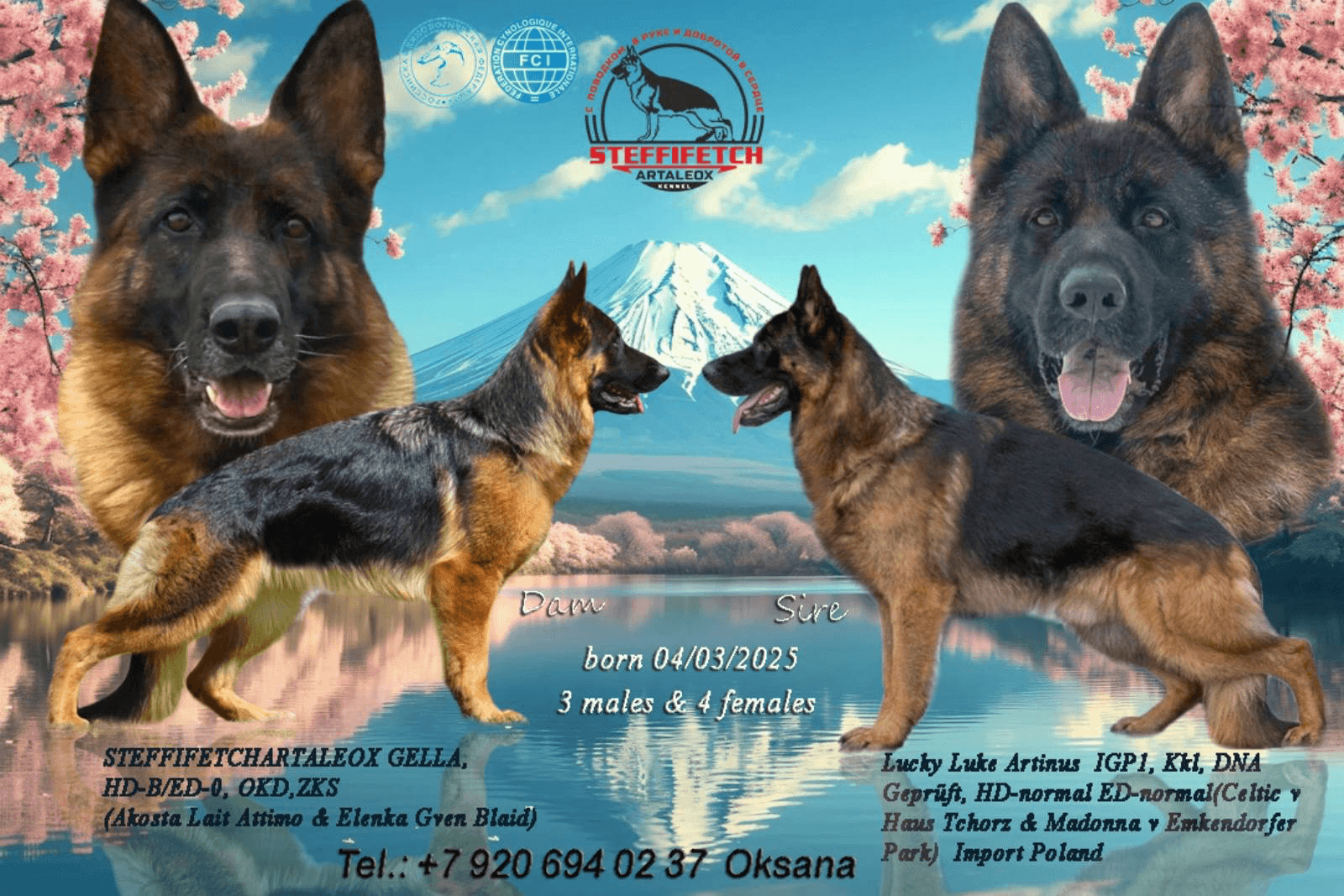 carousel-image-mobile-2