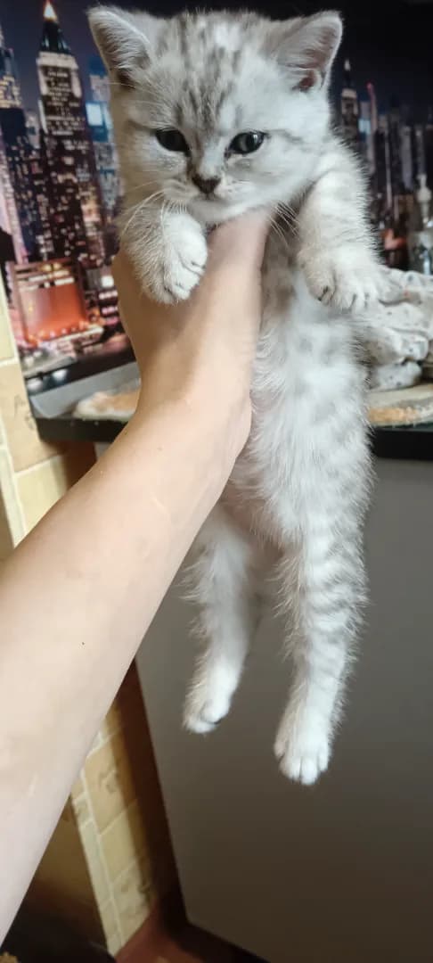 carousel-image-mobile-1