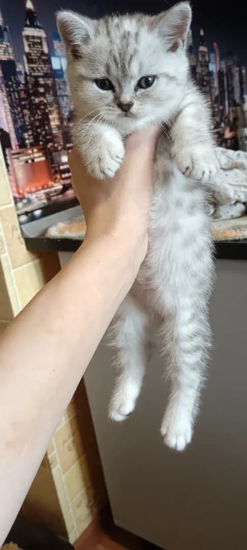 carousel-image-mobile-2