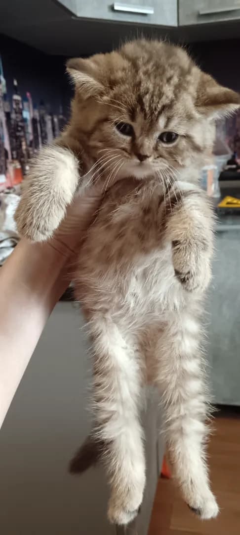 carousel-image-mobile-3