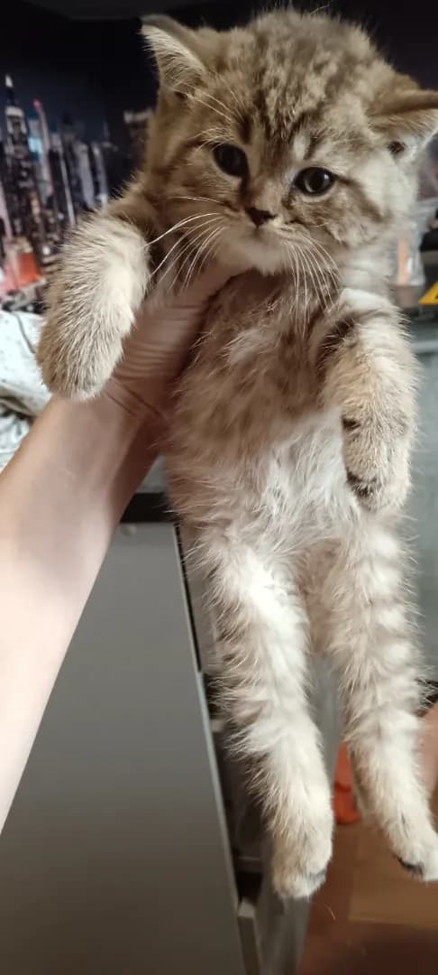 carousel-image-mobile-4