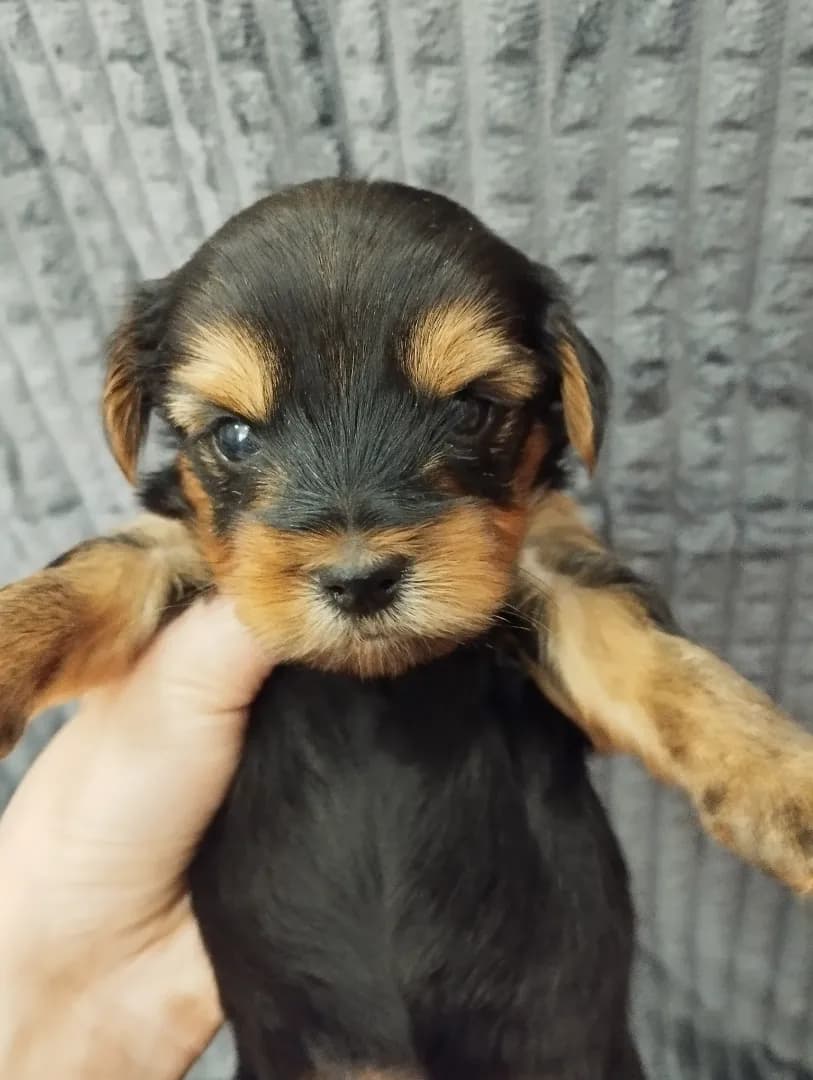 carousel-image-mobile-1