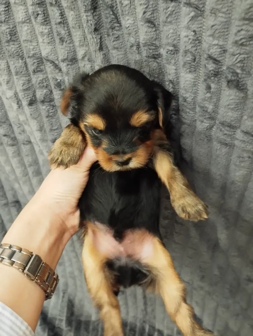 carousel-image-mobile-2