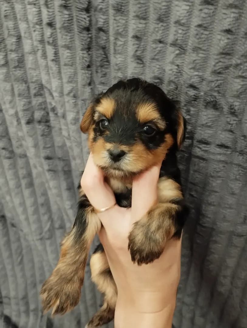 carousel-image-mobile-3