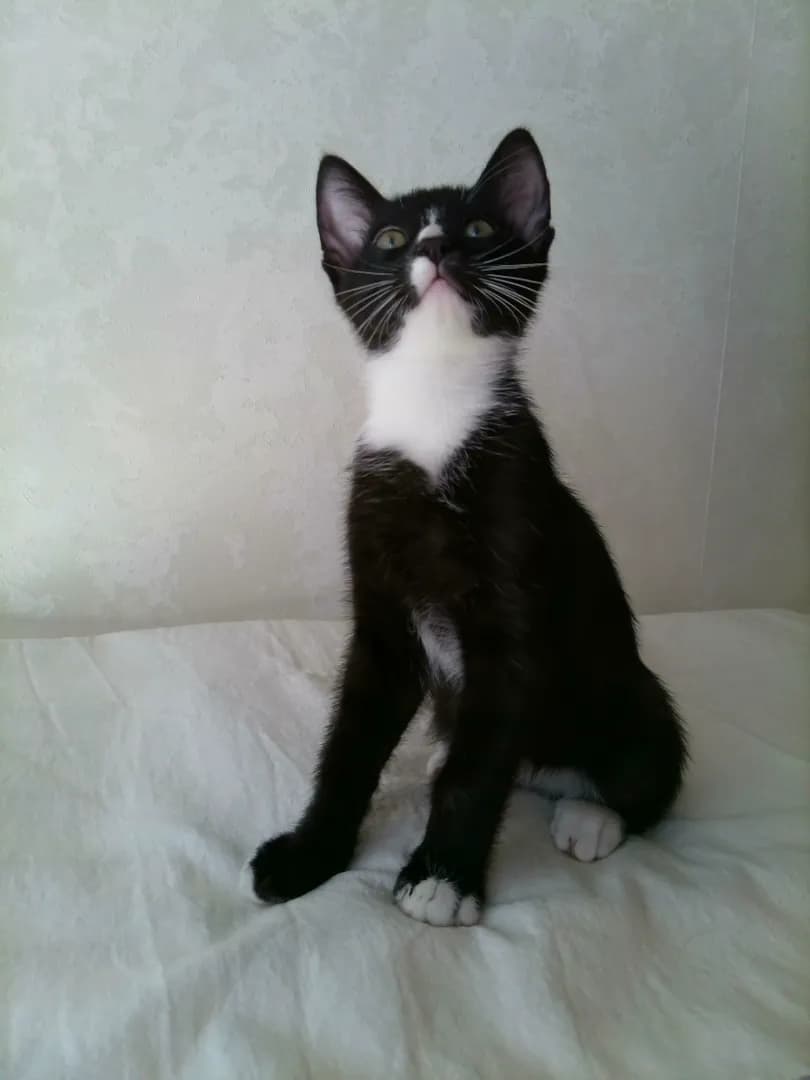 carousel-image-mobile-1