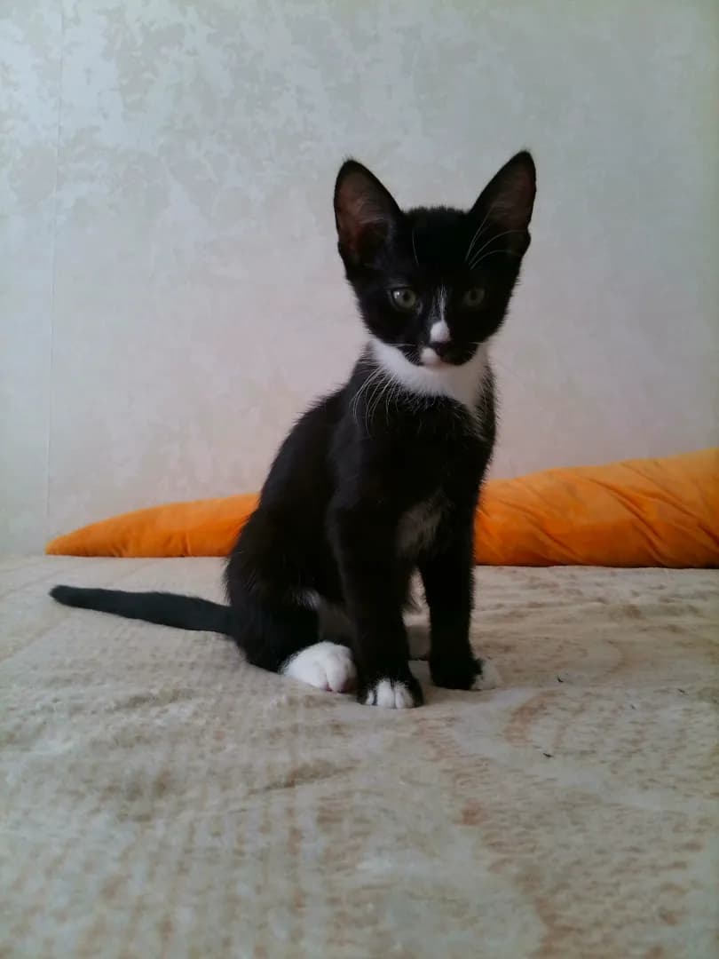 carousel-image-mobile-2