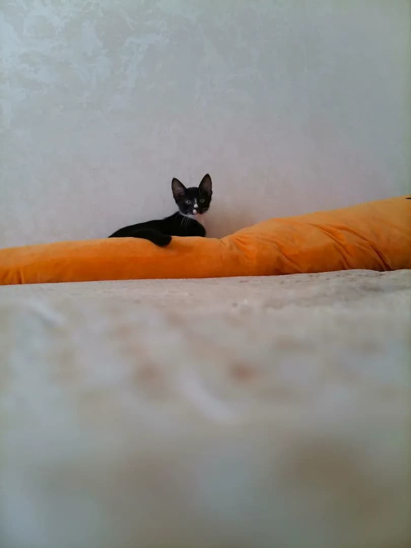 carousel-image-mobile-3