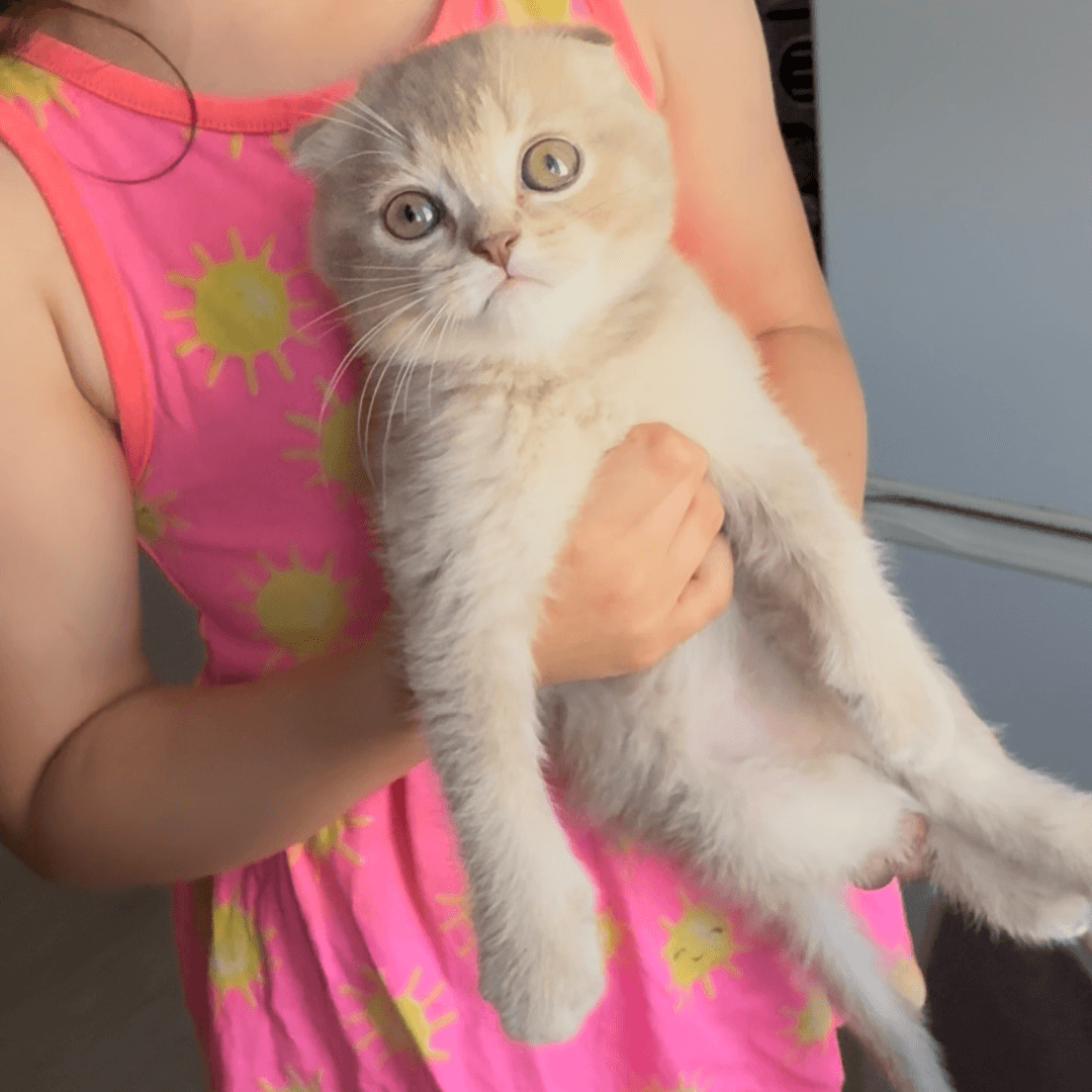 carousel-image-mobile-1