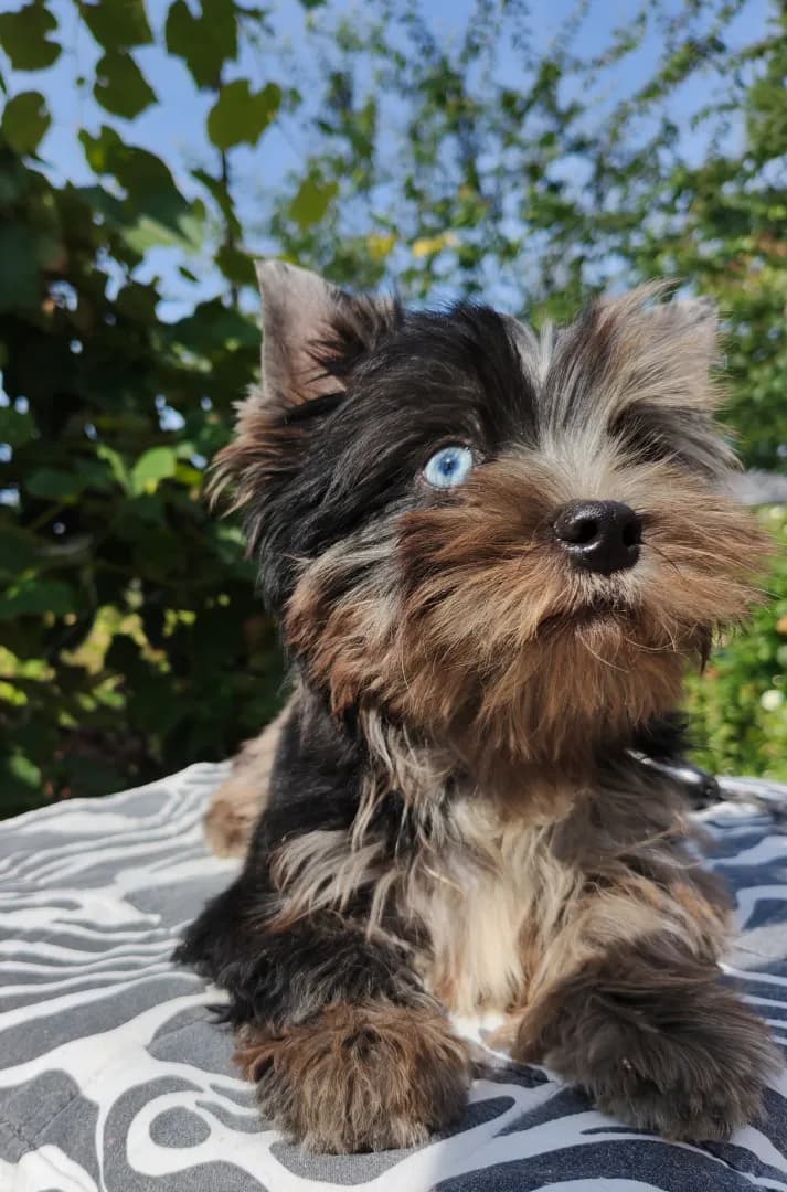 carousel-image-mobile-1