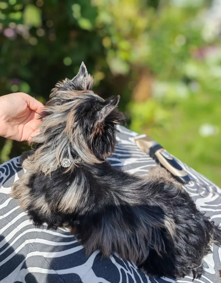 carousel-image-mobile-2