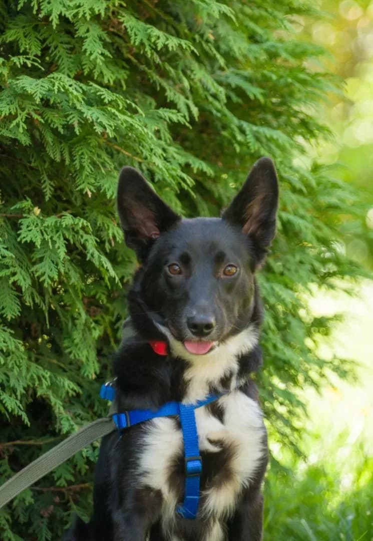 carousel-image-mobile-1