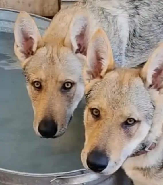 carousel-image-mobile-1