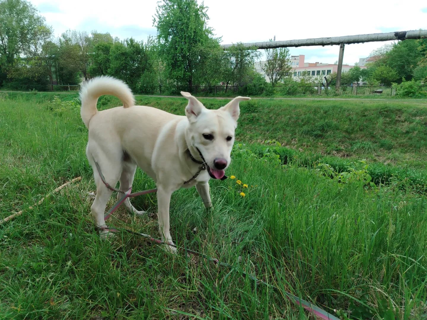 carousel-image-mobile-1