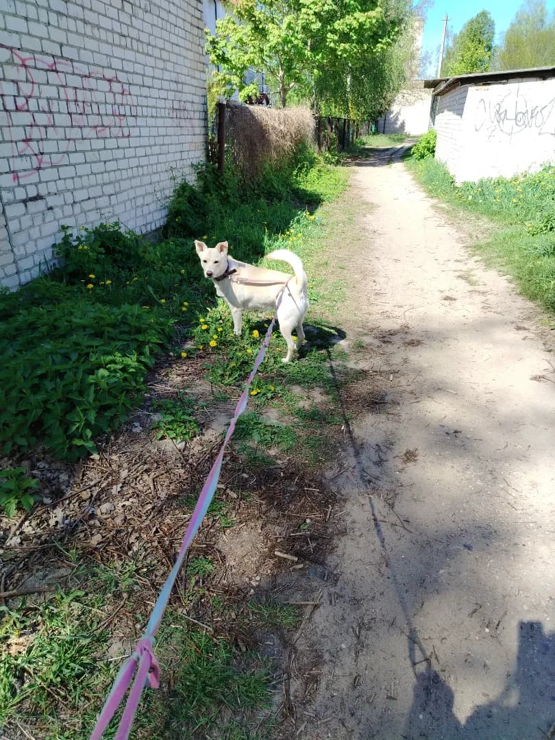 carousel-image-mobile-2