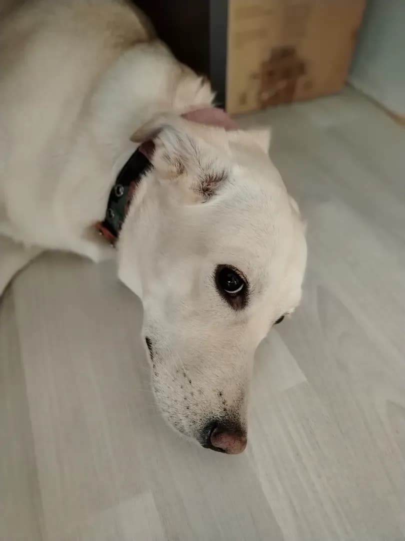 carousel-image-mobile-3