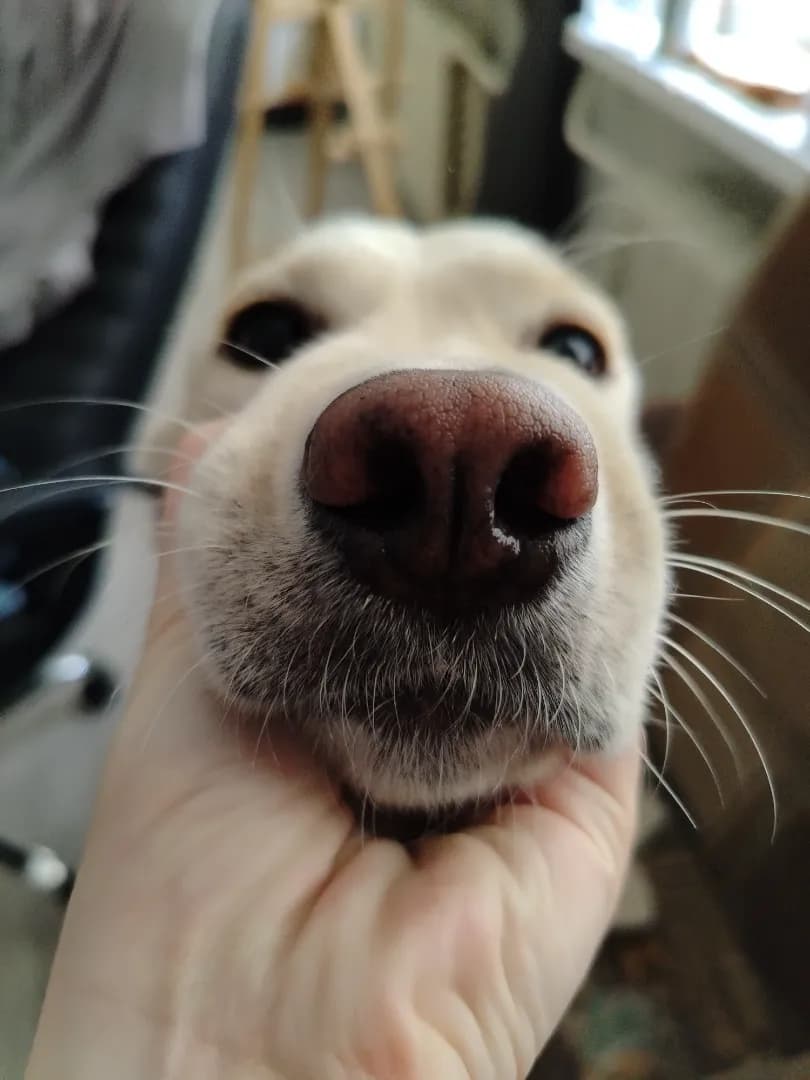 carousel-image-mobile-4