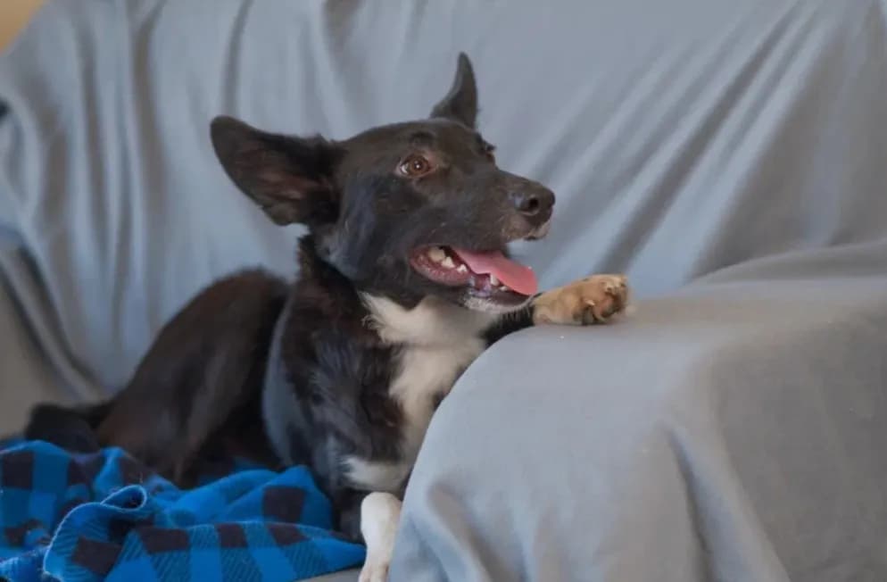 carousel-image-mobile-1