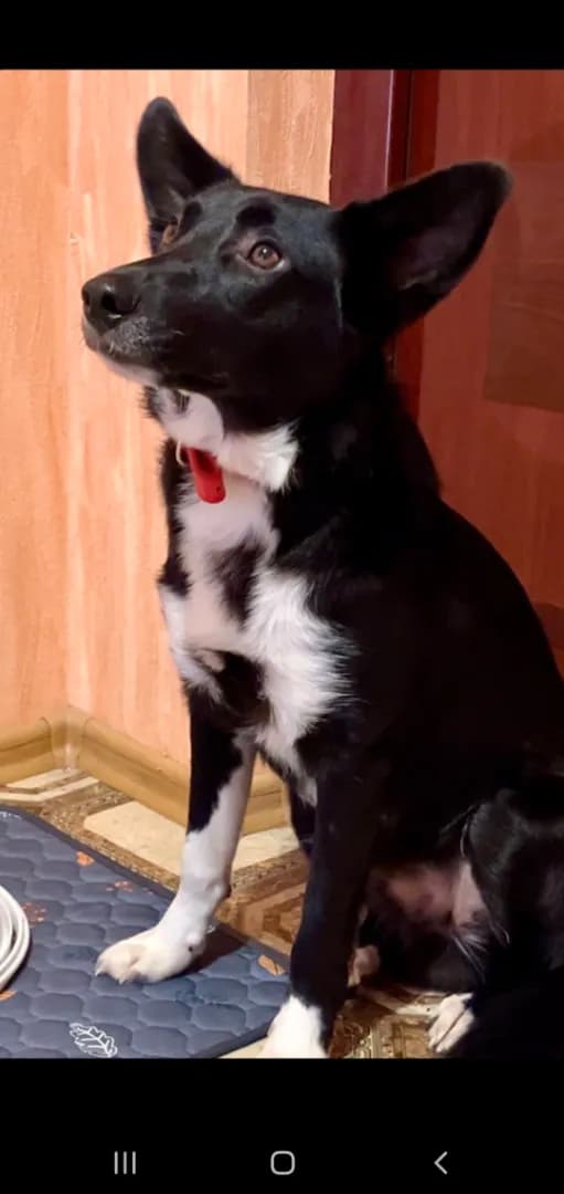 carousel-image-mobile-2